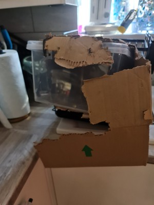 Item photo(s) from verified buyer