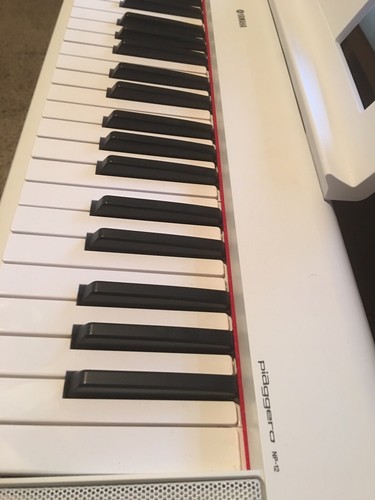 YAMAHA Piaggero NP-12