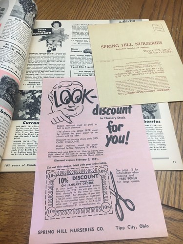 Spring 1951 Spring Hill's Catalog Tipp City, Ohio *ROSES*TULIPS*FRUIT*