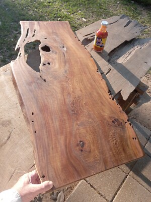 19''X42'' Underwater Recovered! Old Growth Burl Ancient Sinker Cypress Craft Wood 