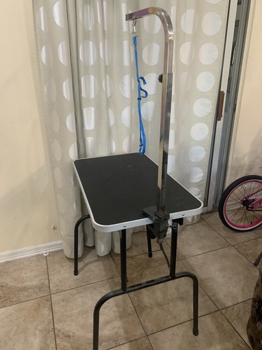 dog grooming table used