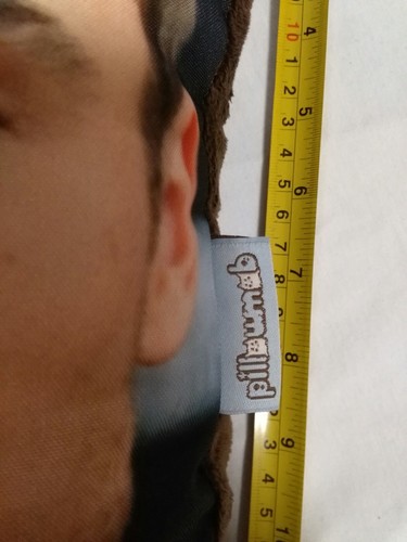 Pillow mob Zach Effron