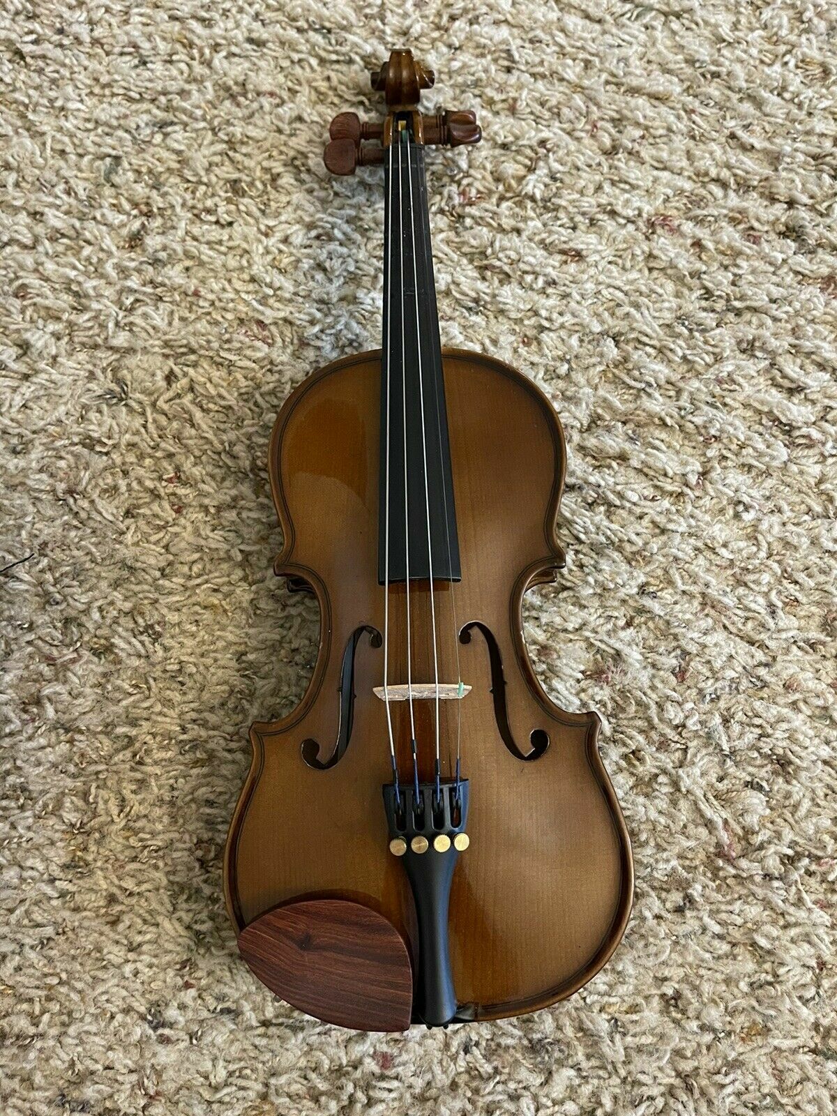 1/8バイオリン No.310 バイオリン 1/8～1/16サイズ | suzukiviolin