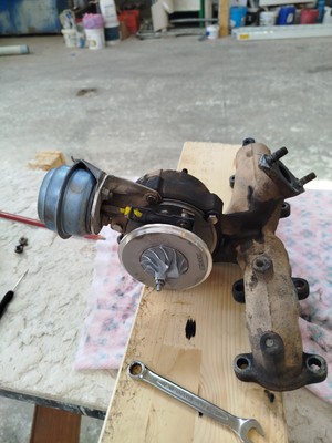 Artikelfoto(s) von einem verifizierten Käufer