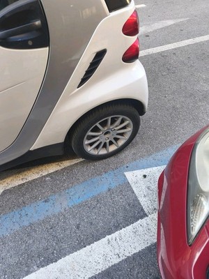 Foto dell'oggetto di un acquirente verificato