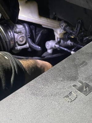 Fotos del artículo de un comprador verificado