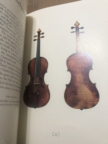 The Violin Masterpieces of Guarneri del Gesu peter biddulph