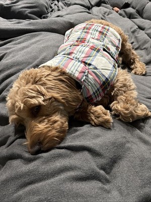 Fotos del artículo de un comprador verificado