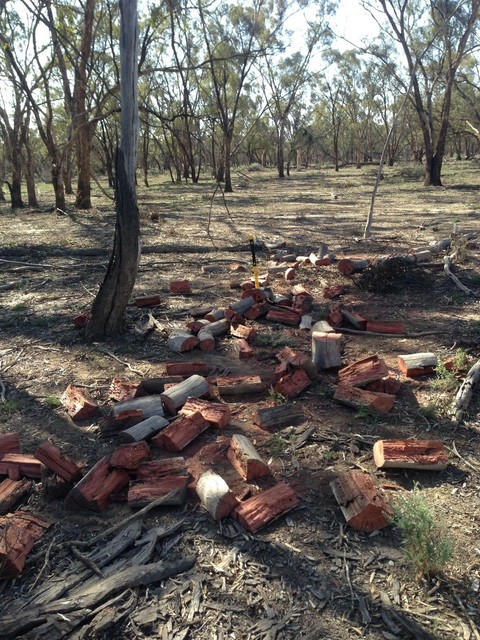 Red gum fire wood 1.5 cubic metres | Building Materials ...