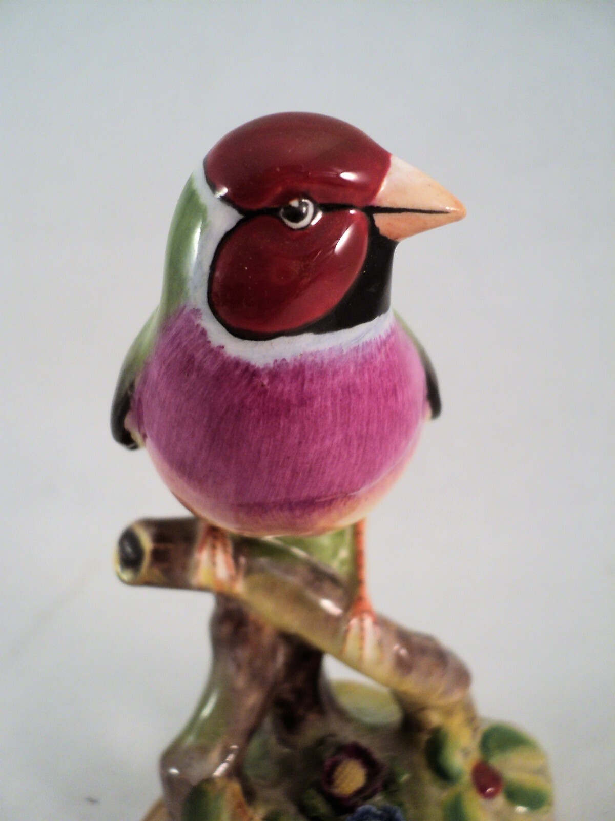 Vintage ADDERLEY GOULDIAN FINCH Red-Headed Colorful 4
