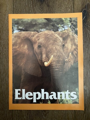 Vintage 1980 Elephants Zoo Wildlife Education Illustrated Book