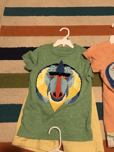 Boys 4 & 5t Shirt/Shorts Lot Nike, JC Penny, Under Armor FREE SHIPPING