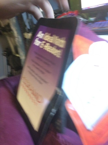 Hog Wild Peeramid Bookrest iPad Notebook Holder Pillow, Burgundy