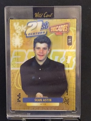 Wild Card 21st Century Decades Sean Astin 2024 Promo 1/1 Gold Trading Card