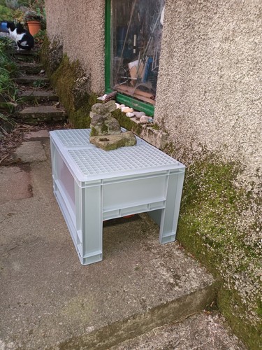 Fotos del artículo de un comprador verificado