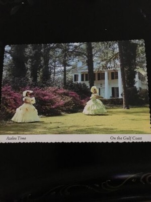 Vintage 1970s Azalea Time Postcard