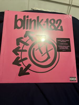 ONE MORE TIME LP - EXCLUSIVE Blue & Black Swirl Vinyl Blink 182 COLLECTOR
