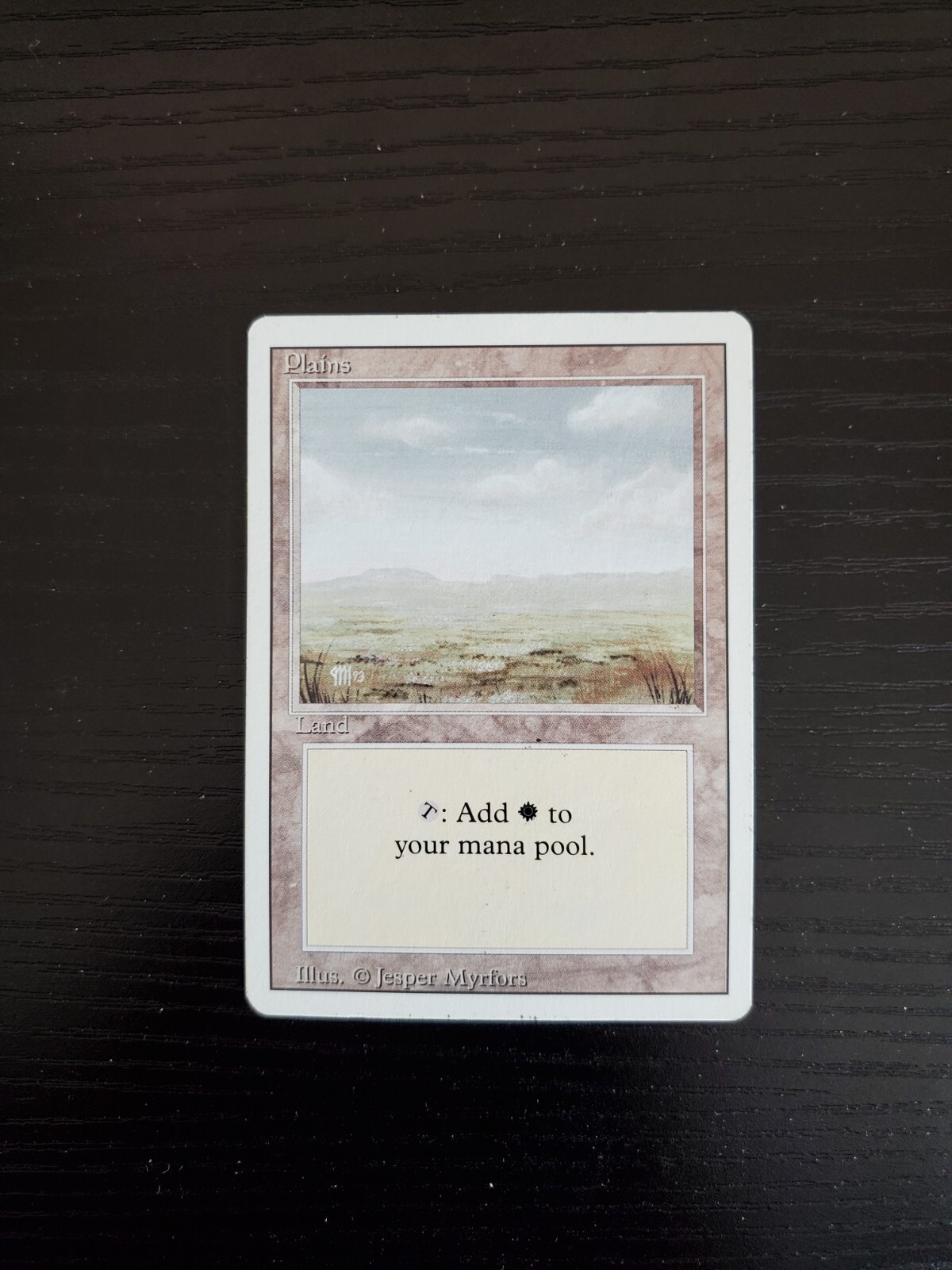 マジックザギャザリング　mtg　納墓 フルアート)納墓/Entomb《日本語》【DMR】