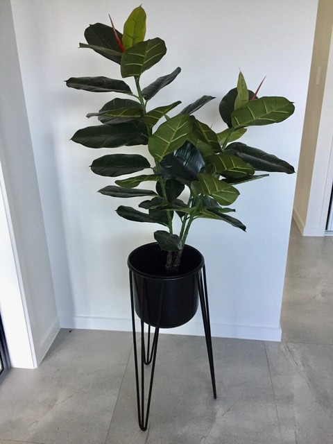 freedom hanging planter