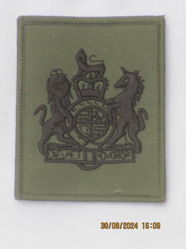 Insigne; Warrant Adjudant 1, Rsm , Noir Sur Olive, 55 X 70 Mm, Commando