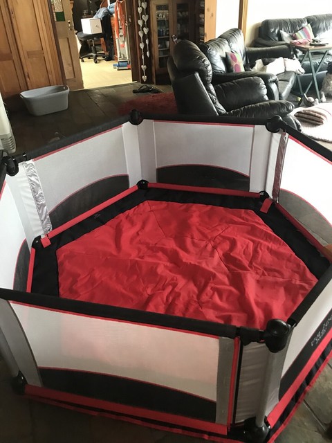 valco baby play yard