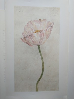 Afterglow by W. A. Sloan ll Floral Signed 1999