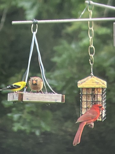 經驗證買家提供的物品圖片