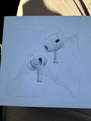 Apple AirPods Pro (2nd Generation) Wireless Ear Buds USB-C