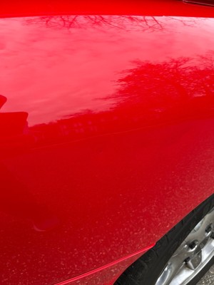 image 15 of exterior