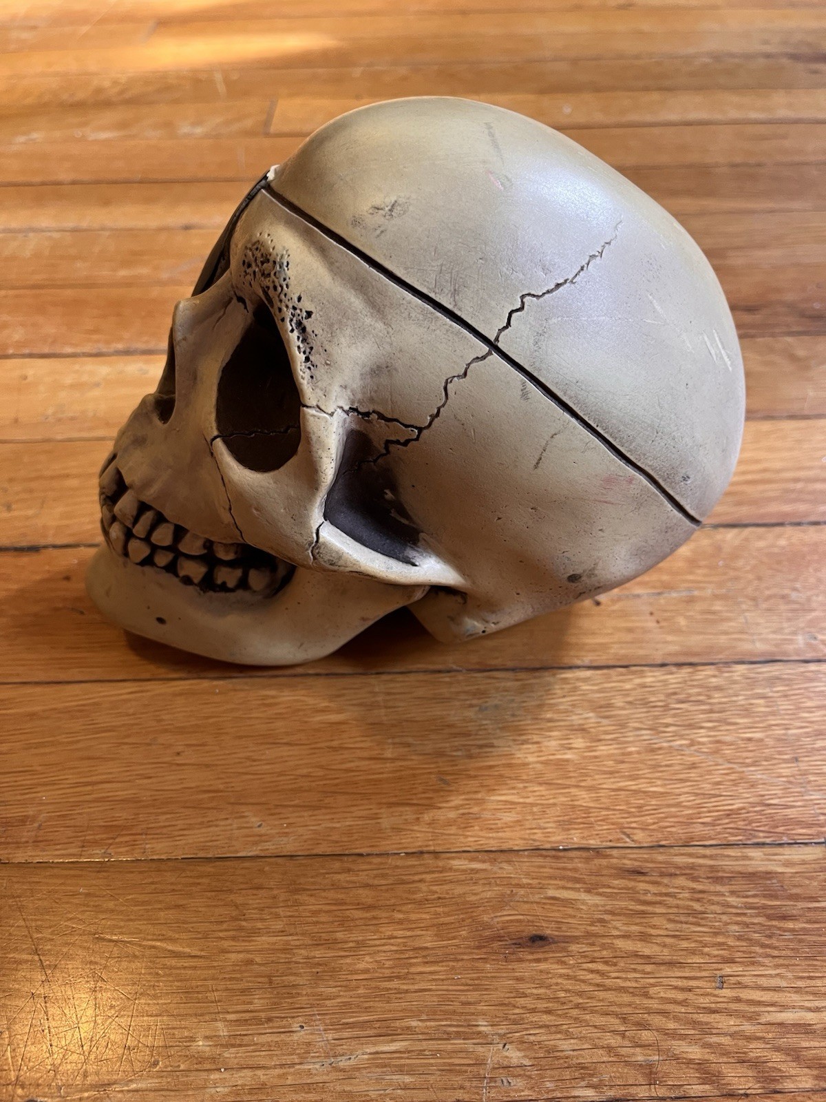 VINTAGE Randotti Pirate Skull Eyepatch Glow In The Dark Disney 1974