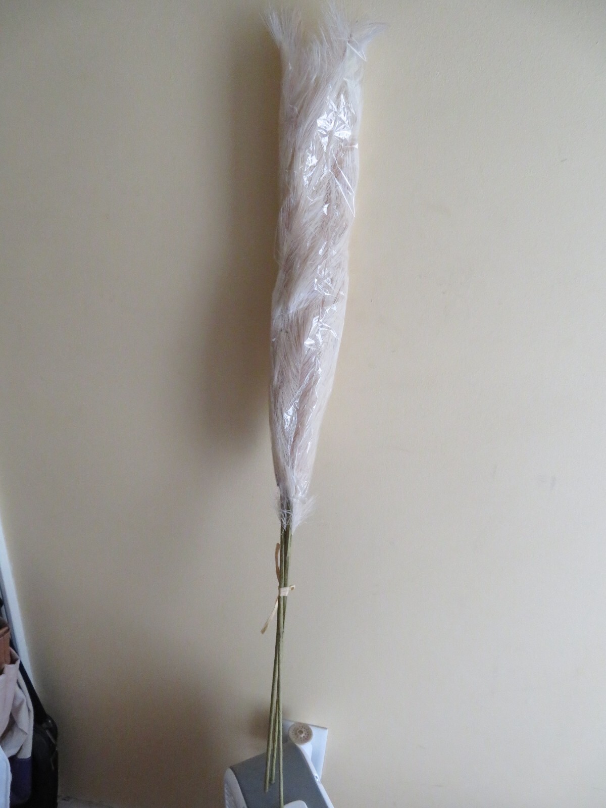 Picture 2 of 4