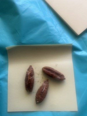 Fotos del artículo de un comprador verificado