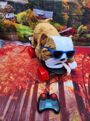 Buddy The Skate Dog RC Controlled 2012 Rare Skate Boarding Dog Excellent Shape 