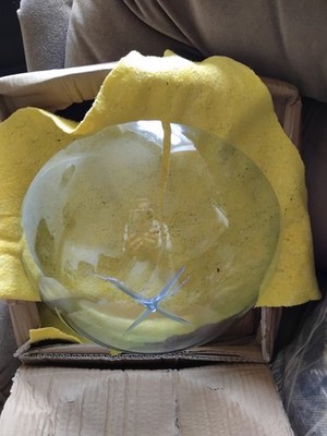Photos de l'objet d'un acheteur vérifié