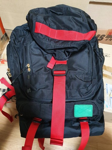 NIKE SB バッグ Nike SB Eugene Back pack 