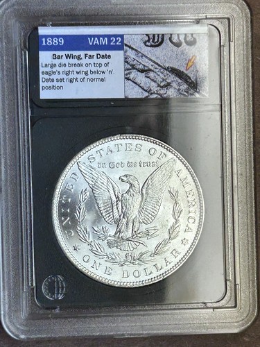 1889 P Raw Choice BU VAM 22 Far Date Barwing Top 100 Morgan