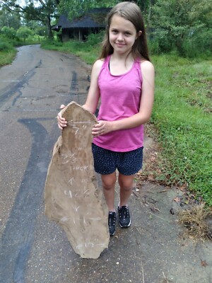 KILN DRIED! 9+ Years Selling Sinker Cypress on eBay! Real Old Growth Sinker Burl