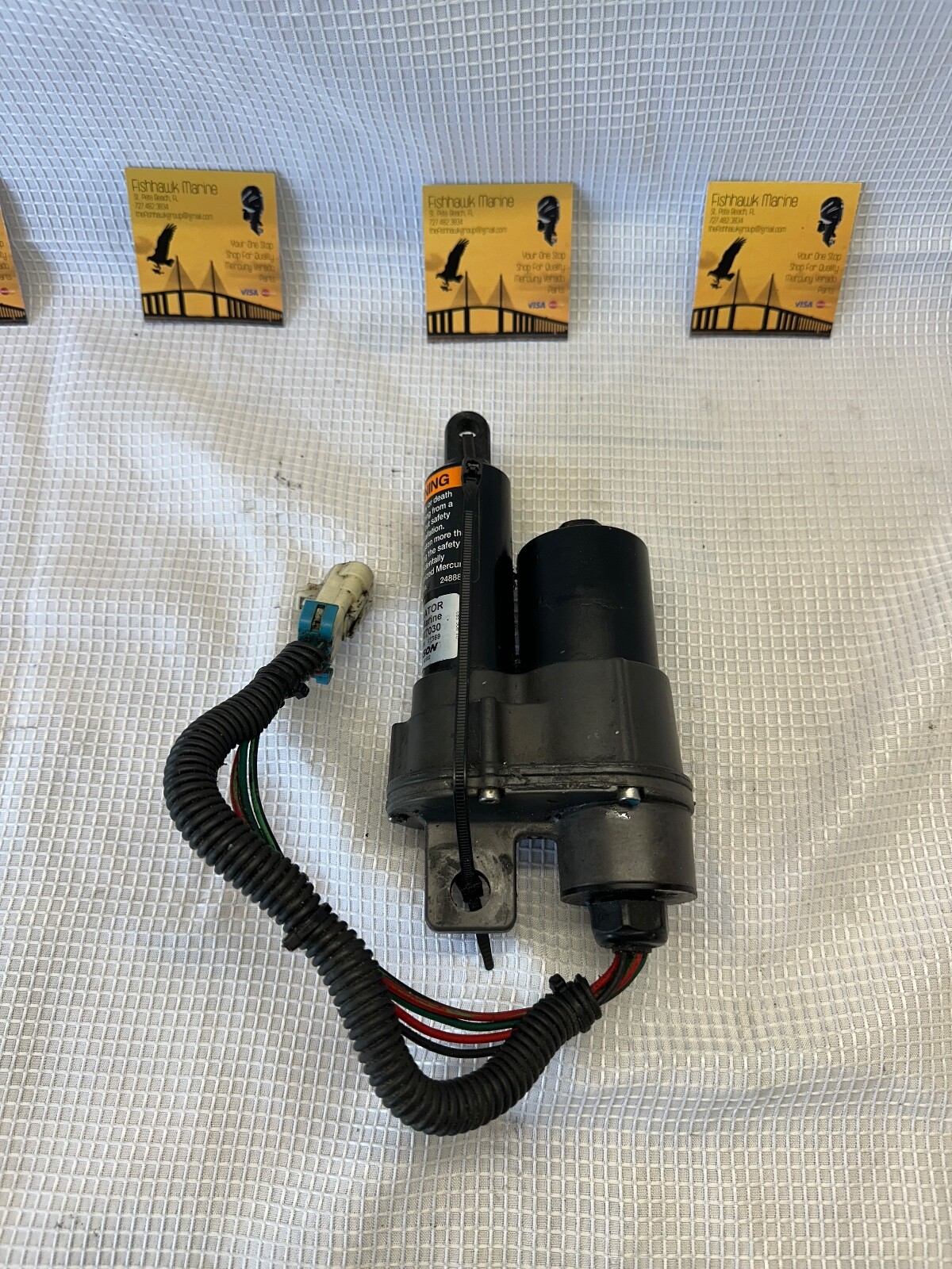 ゾウ 619SrSoO-4L._UF350,350_QL80_.jpg