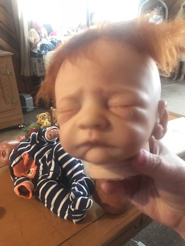 Reborn. Lot  Head Body Plate Best Offer