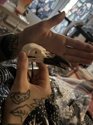 Fotos del artículo de un comprador verificado