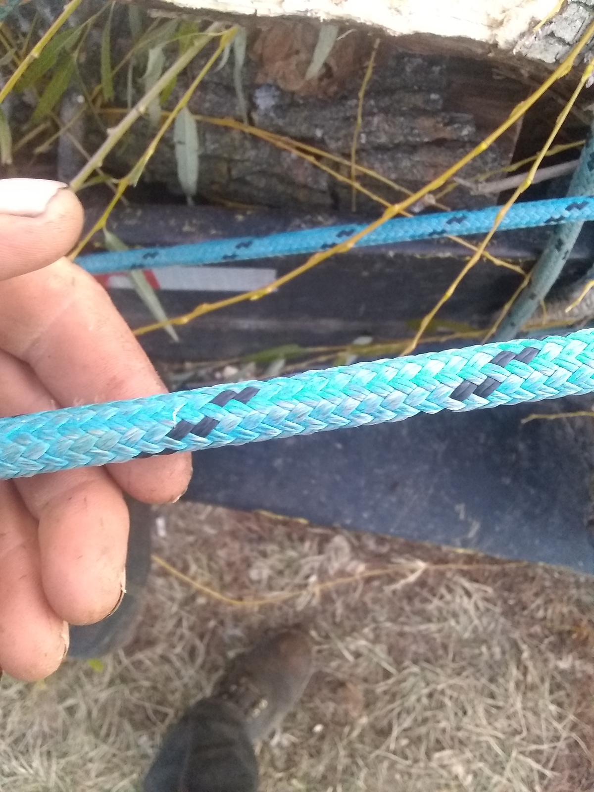 200FT X 1/2