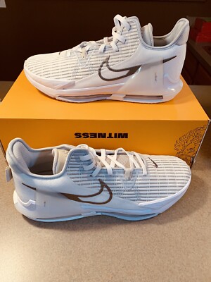 Nike LeBron Witness 6 CZ4052-102 Men's Summit White/Metallic Pewter Shoes Sz 13