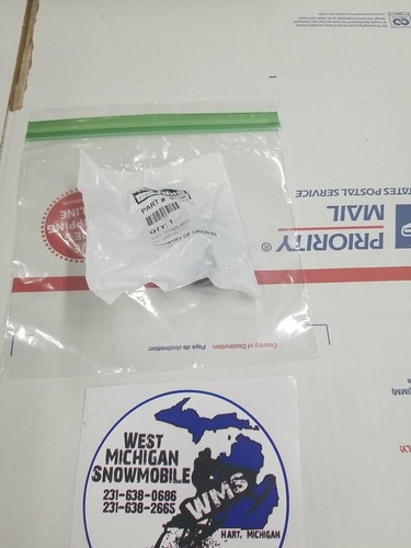 Polaris Key OEM 4018754 QTY 1 | eBay