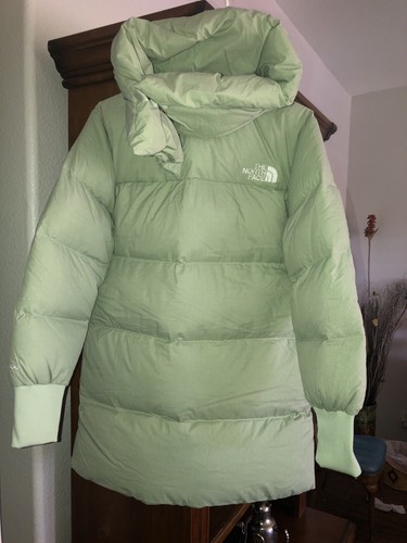 Pre-owned The North Face Nwt"s  Women's Glacier Basin Parka Misty Sage Medium $340