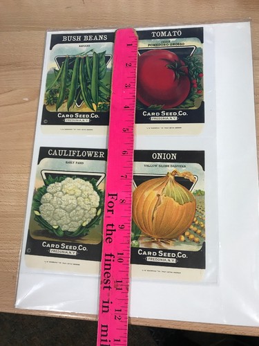 (4) Antique ~ 1920's ~ Card Seed Co. Empty ~ Seed Packets ~ Fredonia, NY