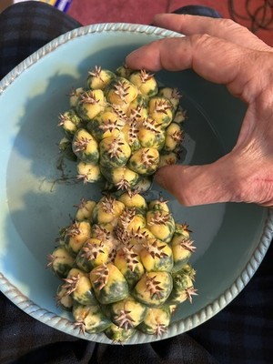 Objectfoto('s) van geverifieerde koper