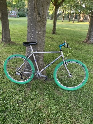 marin bobcat trail retro frame 