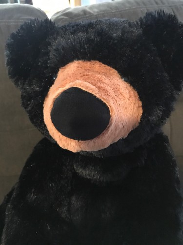 Toys R Us Black Floppy Teddy Bear Stuffed Animal 24