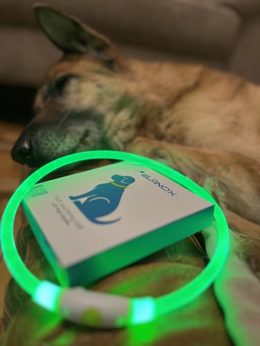 Artikelfoto(s) von einem verifizierten Käufer