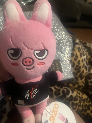 Stray Kids SKZOO Changbin DWAEKKI Plush doll Original Ver